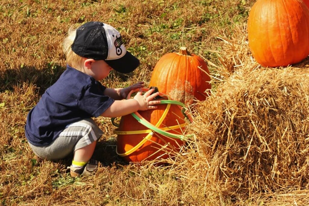 Child in pumpkin patch