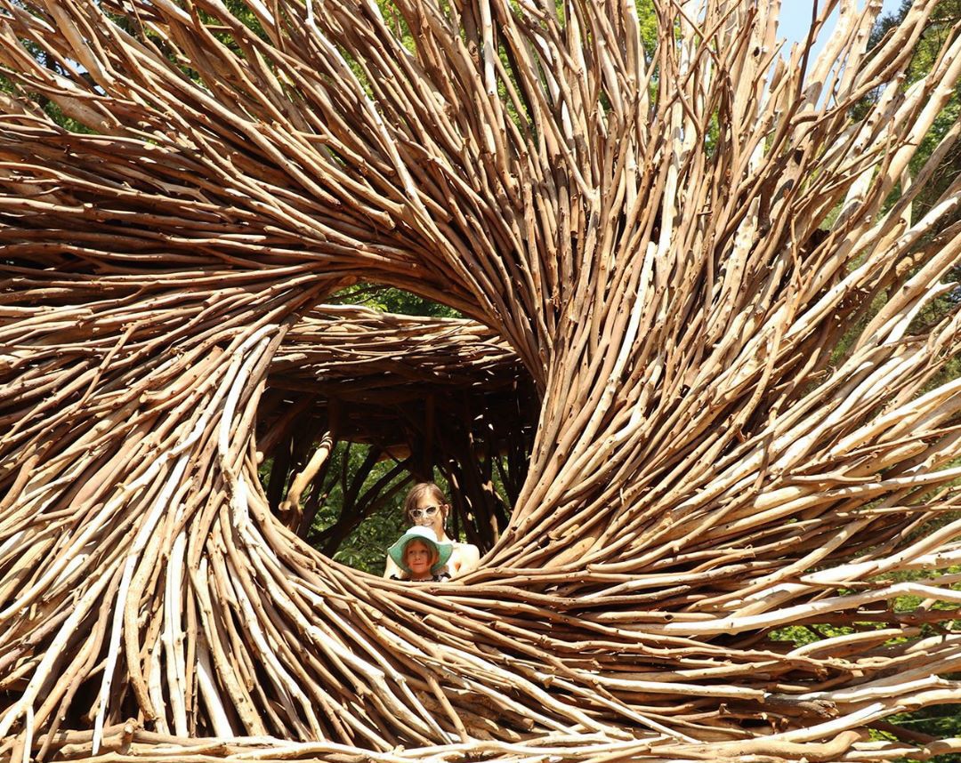 Spirit Nest, Bernheim Arboretum, Bullitt County