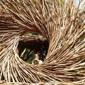 Spirit Nest at Bernheim Forest