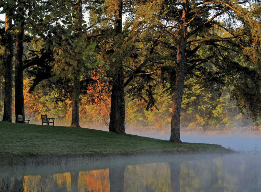 Benches by a misty lake