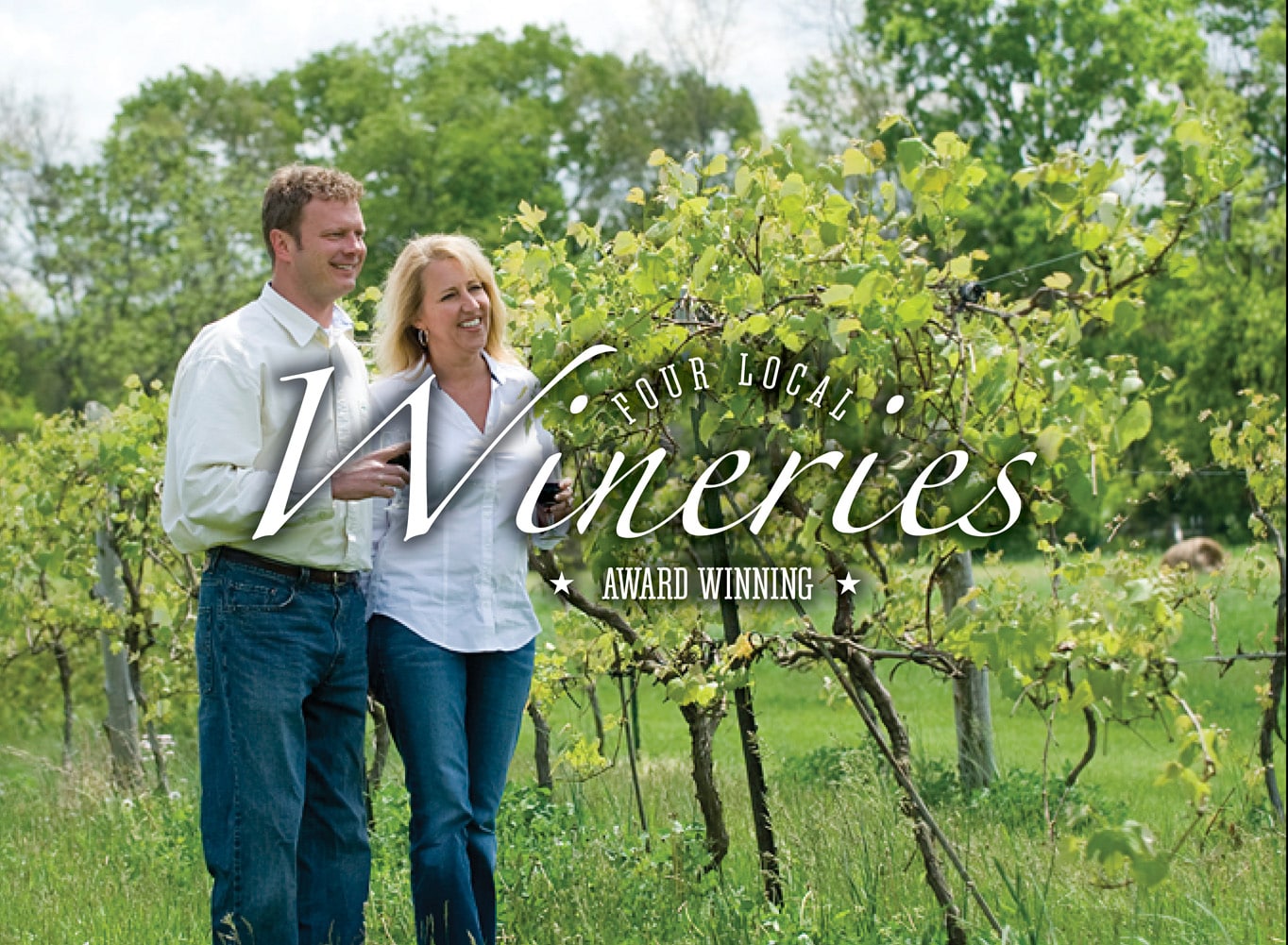 Website Banner showing local wineries