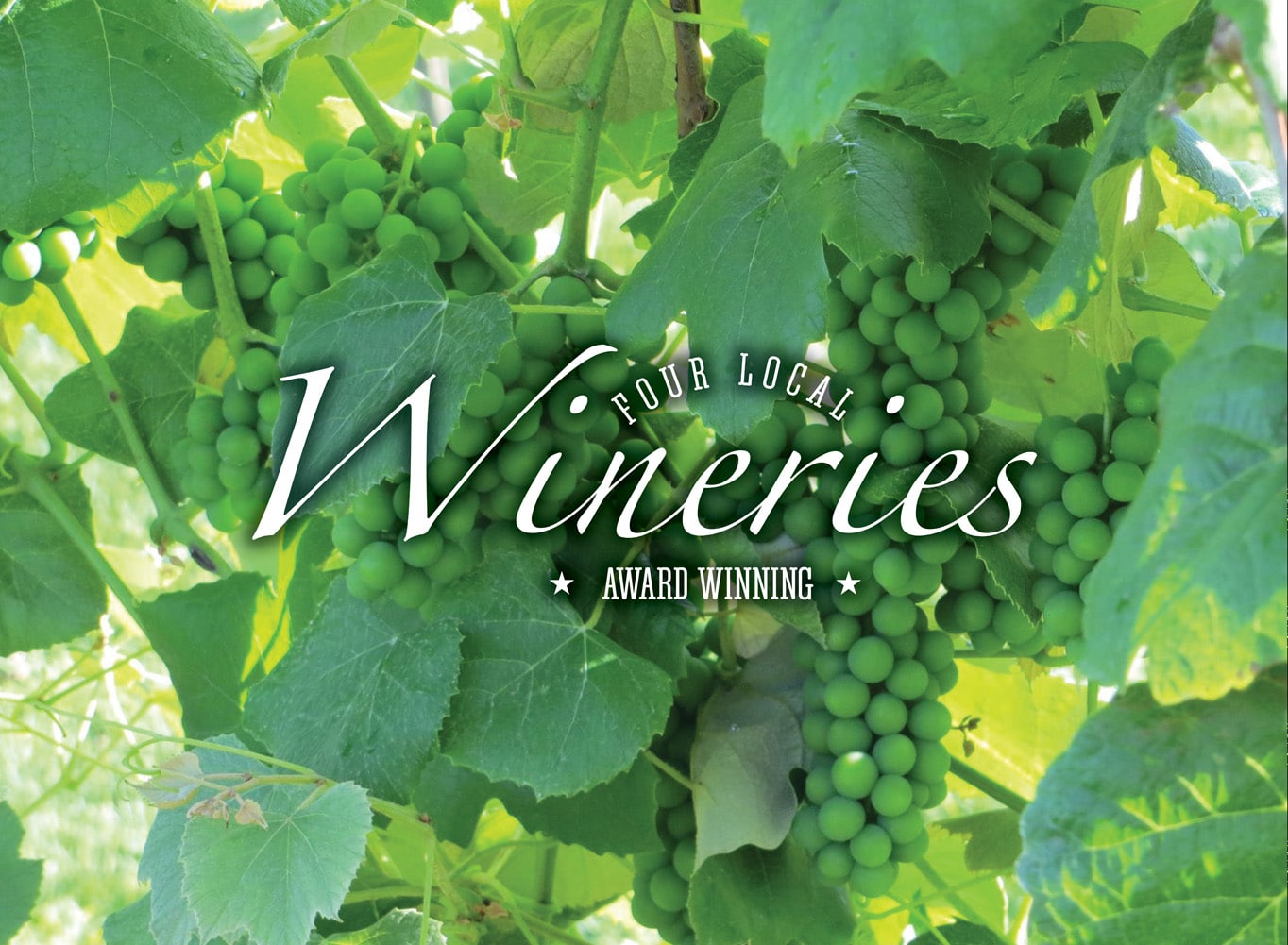 Website banner showcasing Local Wineries
