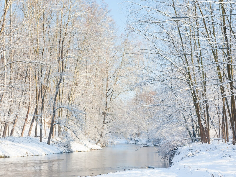 Snowy Countryside