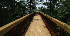 Bernheim Canopy Tree Walk