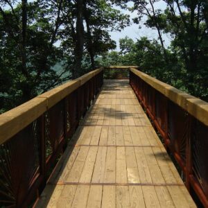 Bernheim Canopy Tree Walk
