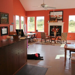 Brooks Hill Winery Interior