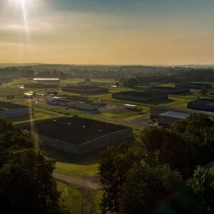 Four Roses Aerial View