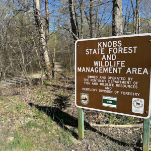 Knobs State Forest Sign