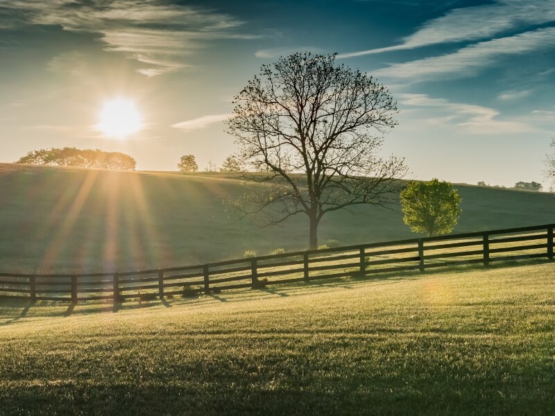 Rolling Hills