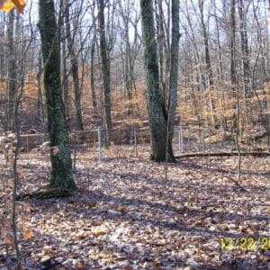 Mystery Cemetery, Bernheim Forest