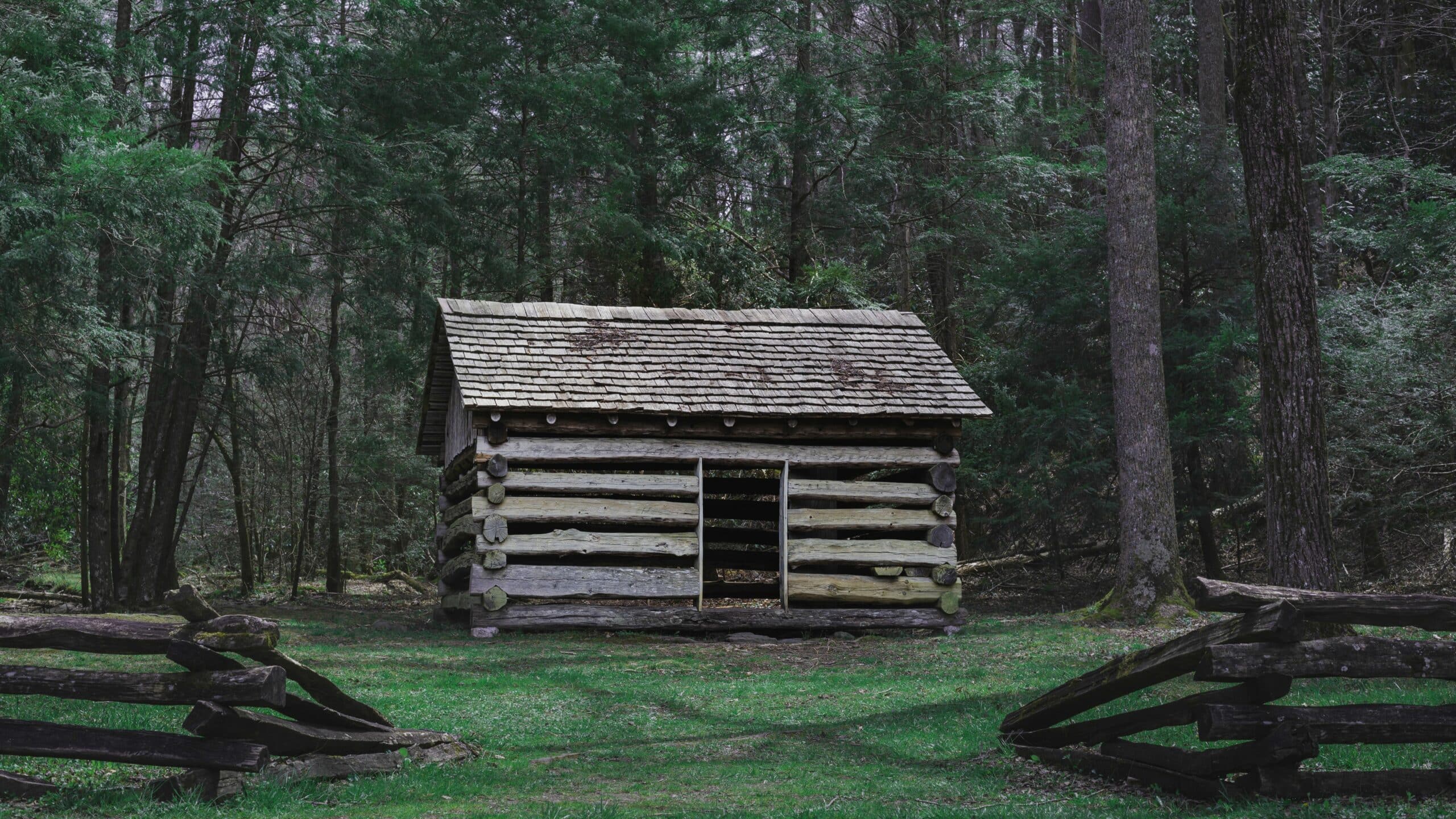 Wooden hut isolated in the forest with dense trees