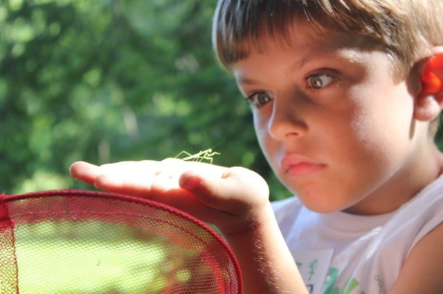 Kid with Grasshopper