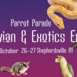 Parrot Parade Avian & Exotics Expo