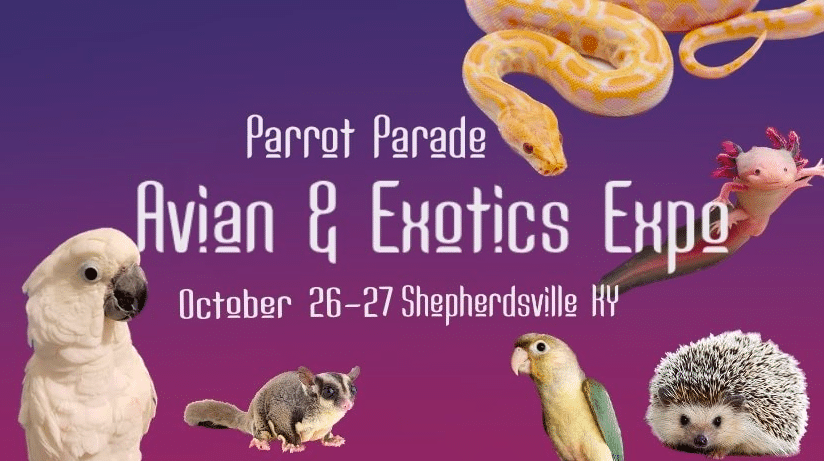 Parrot Parade Avian & Exotics Expo